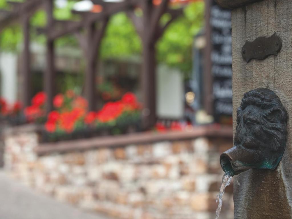 Hotel Felsenkeller Rüdesheim am Rhein Εξωτερικό φωτογραφία