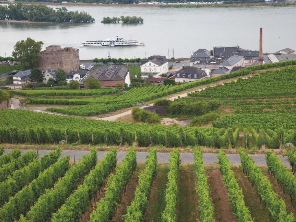 Hotel Felsenkeller Rüdesheim am Rhein Εξωτερικό φωτογραφία