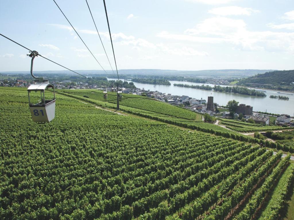 Hotel Felsenkeller Rüdesheim am Rhein Εξωτερικό φωτογραφία