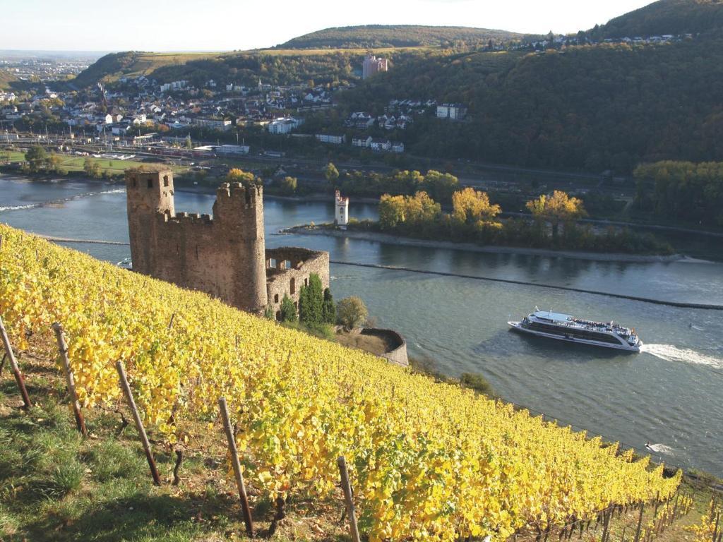 Hotel Felsenkeller Rüdesheim am Rhein Εξωτερικό φωτογραφία